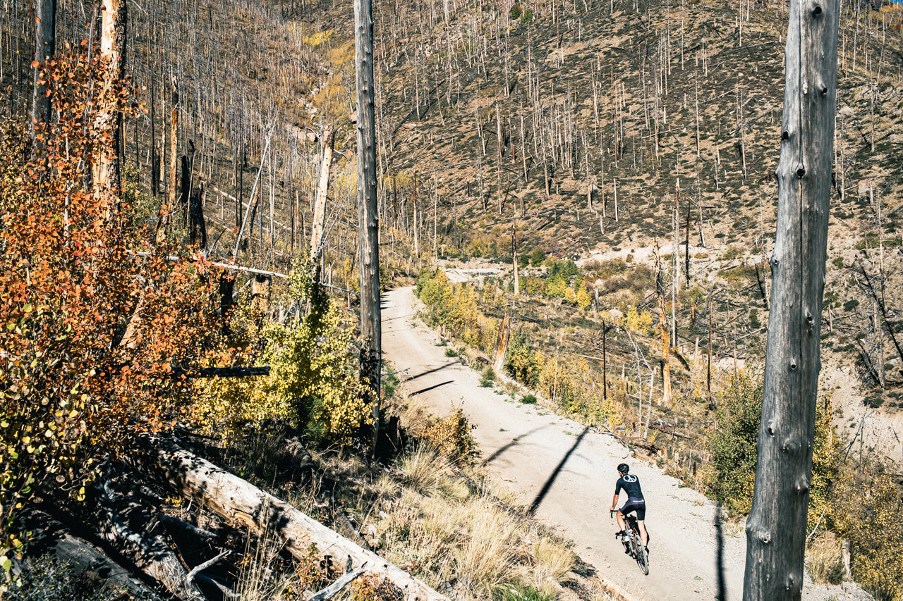 6061 Black Label All-Road - Copper Brown (650b / 700c)