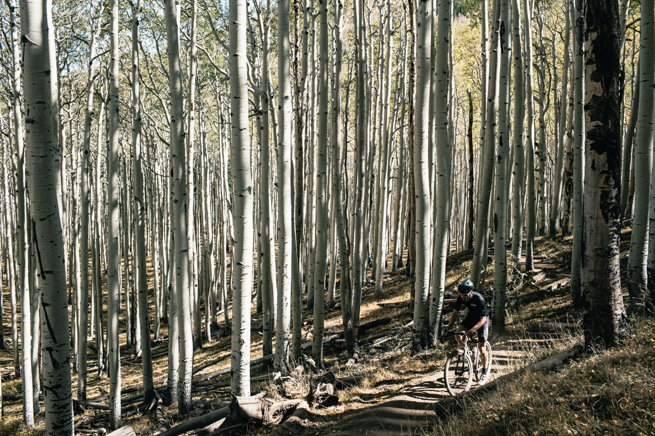 6061 Black Label All-Road - Copper Brown (650b / 700c)