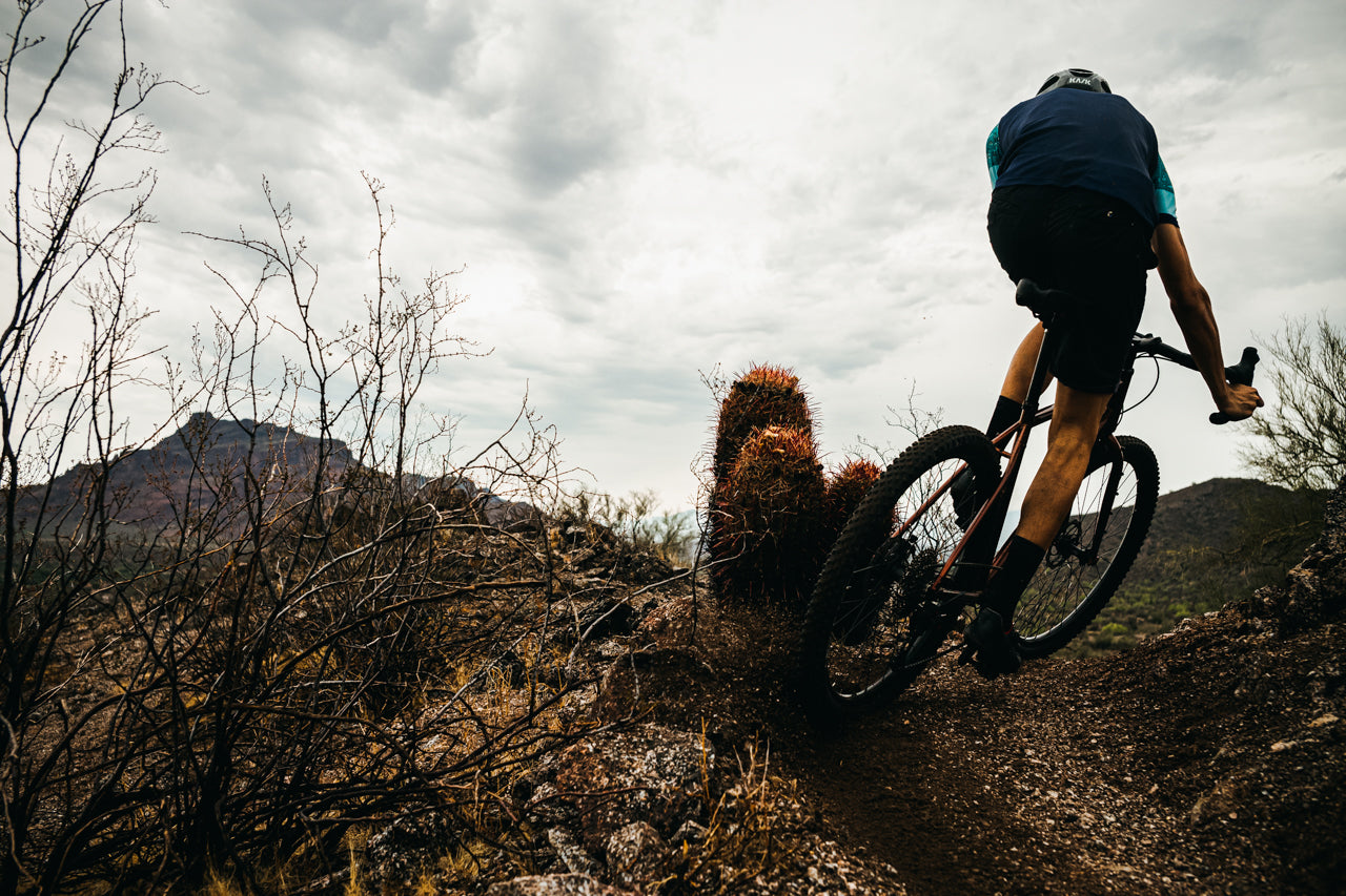 4130 All-Road - Copper Brown (650b / 700c)