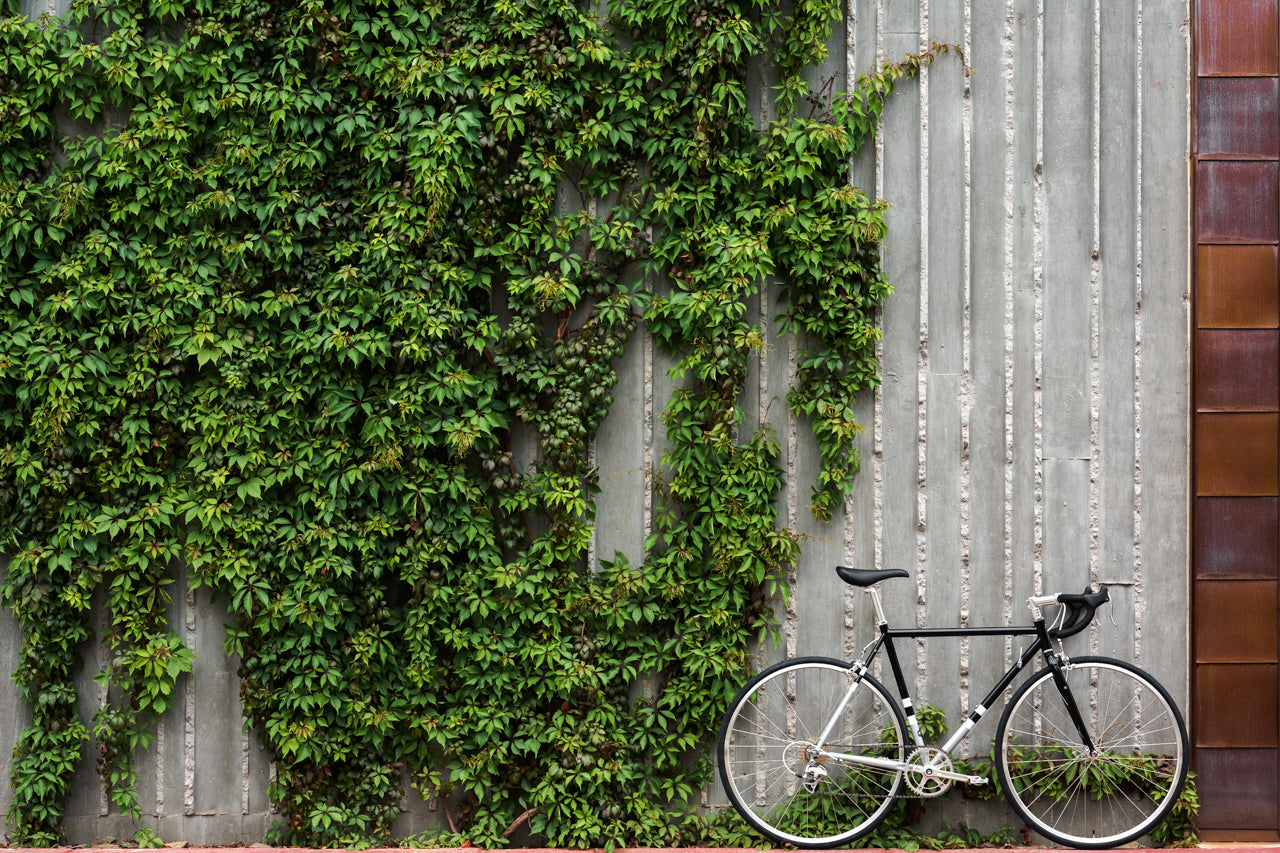 4130 Road - Black & Metallic - (8-Speed)