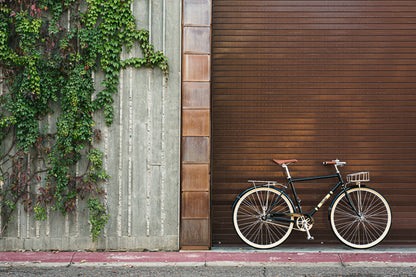 City Bike - The Black & Tan (3 Speed)