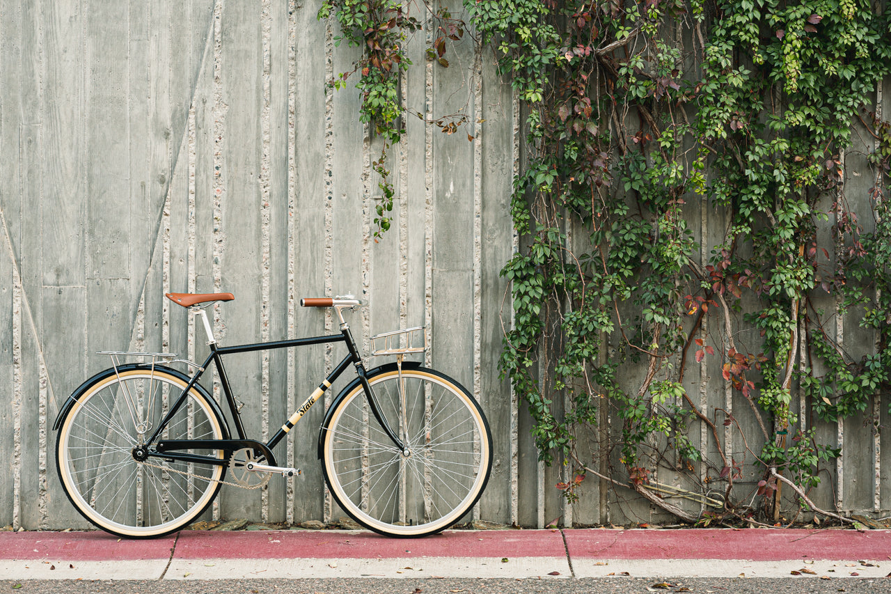 City Bike - The Black & Tan (3 Speed)