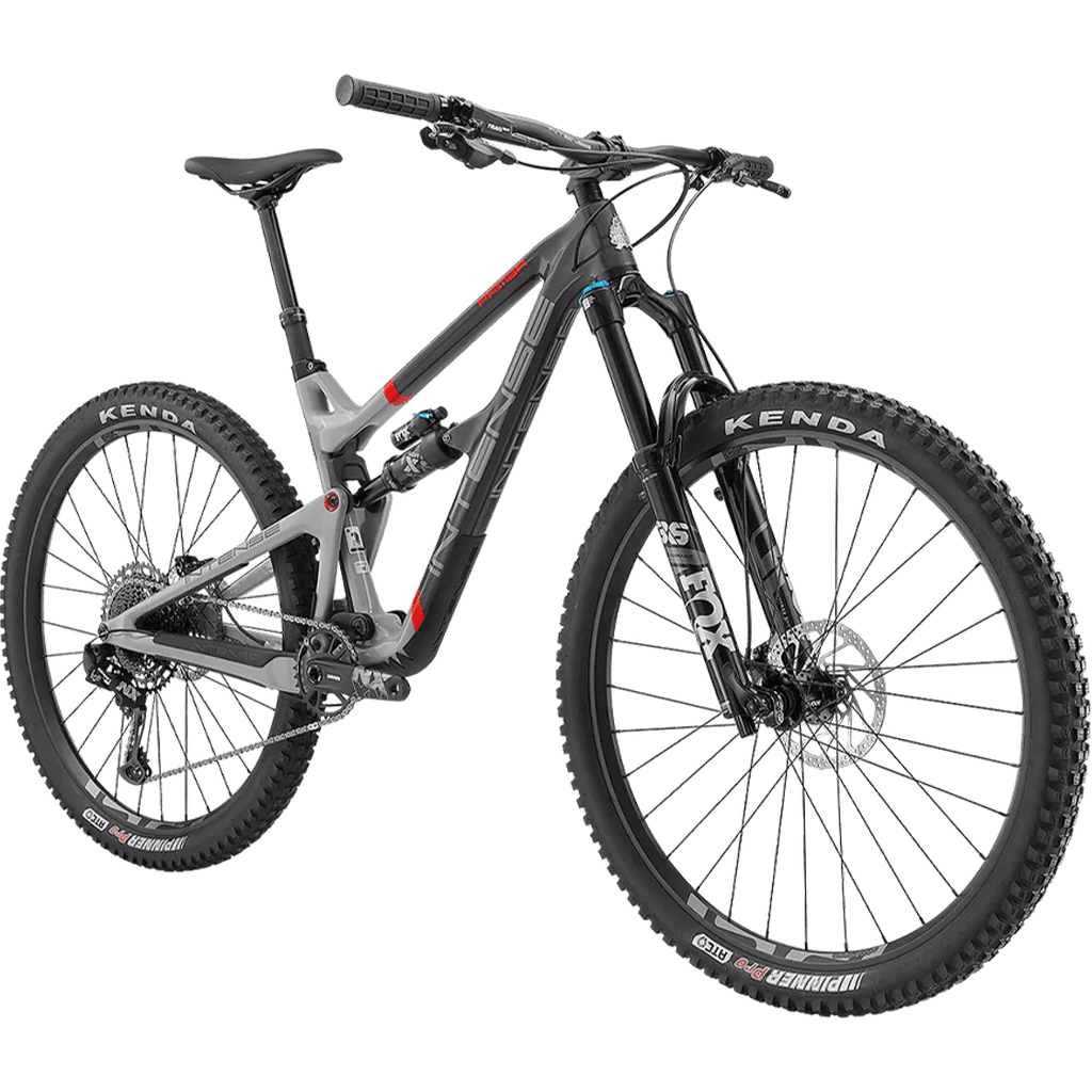 Primer 29 Expert MTB - Cycleson