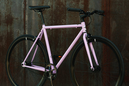 Lavender Haze - Core-Line