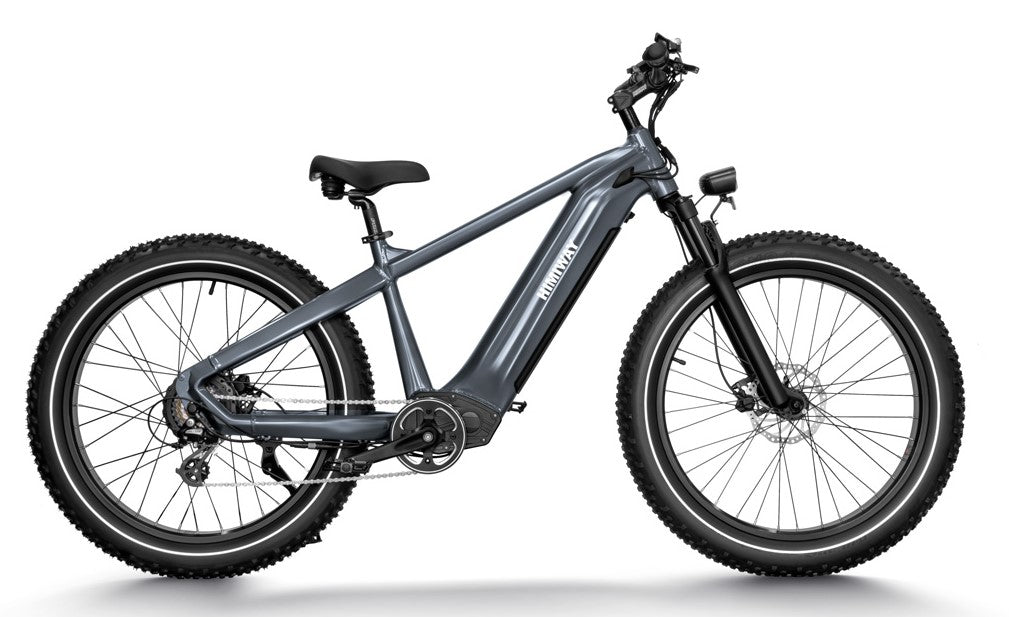 Himiway Zebra Electric Bike - Cycleson