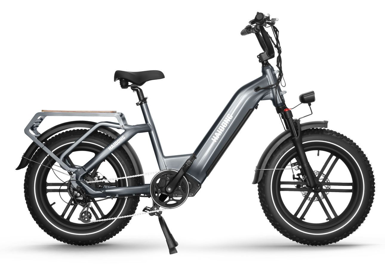 Himiway Big Dog Electric Bike - Cycleson