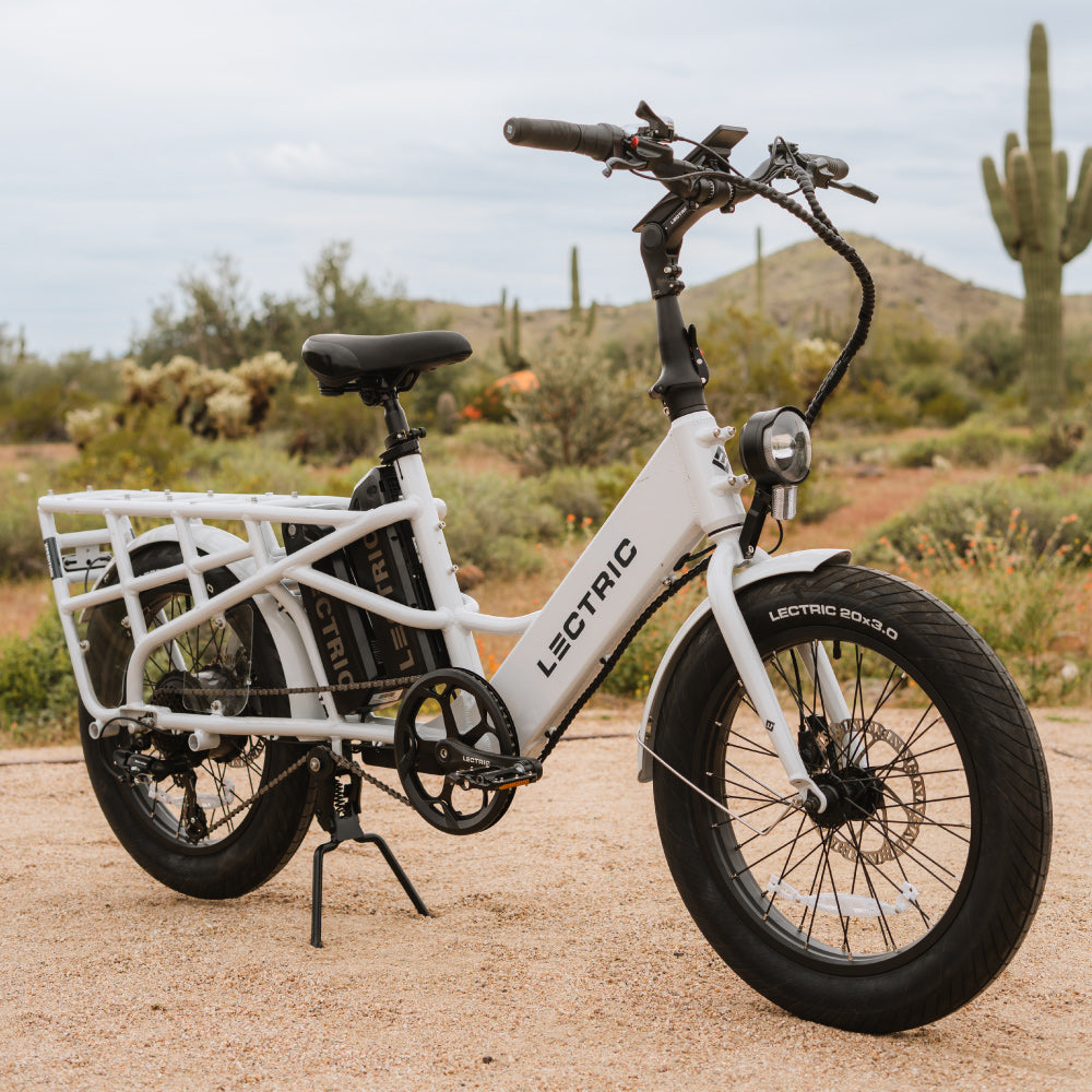 XPedition Dual-Battery Cargo eBike